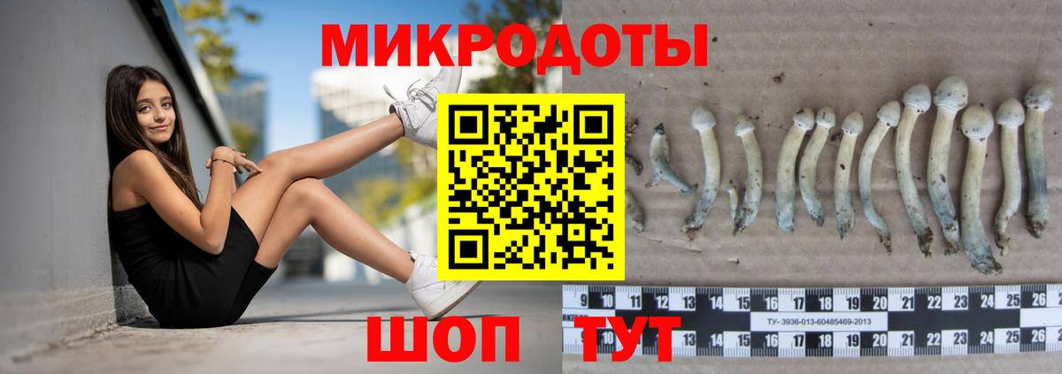 Галлюциногенные грибы мухоморы  Псилоцибиновые грибы GOLDEN TEACHER  Вход с VPN  Бугульма 